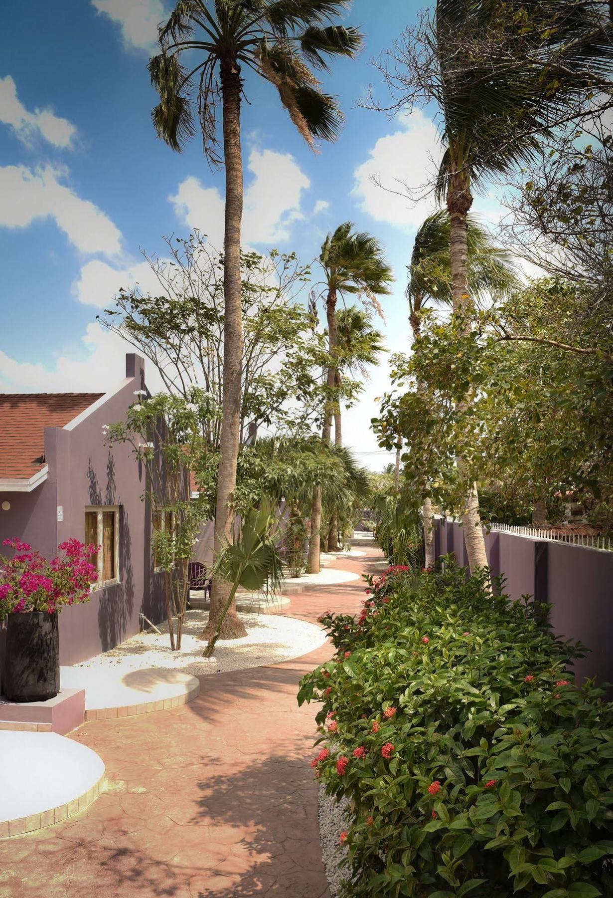 Cadushi Apartments Oranjestad Exteriör bild