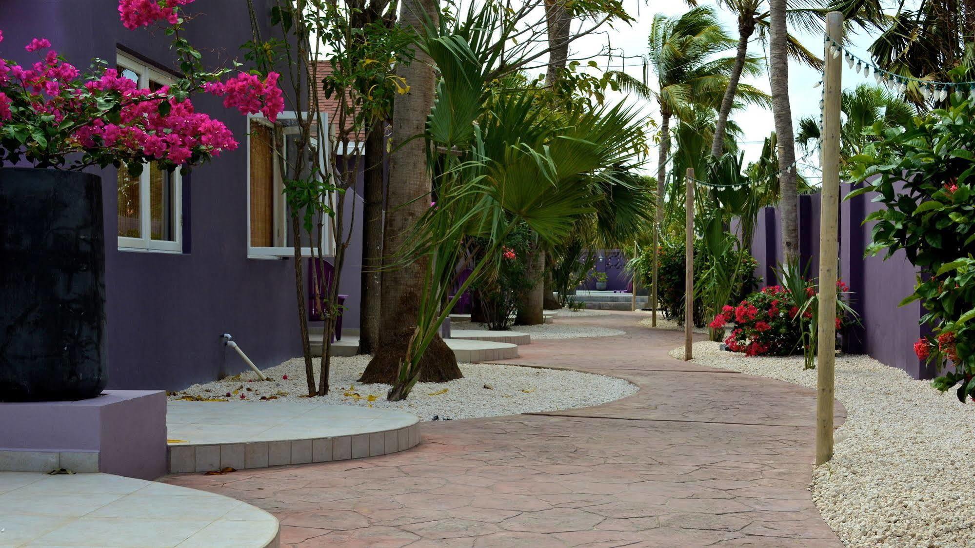 Cadushi Apartments Oranjestad Exteriör bild